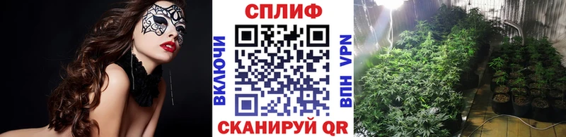 Купить где  Саки  Бошки марихуана планчик 